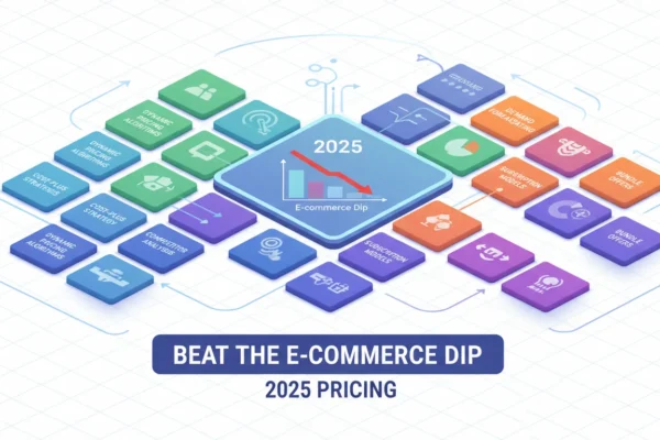 2025 Pricing: Beat the E-commerce Dip